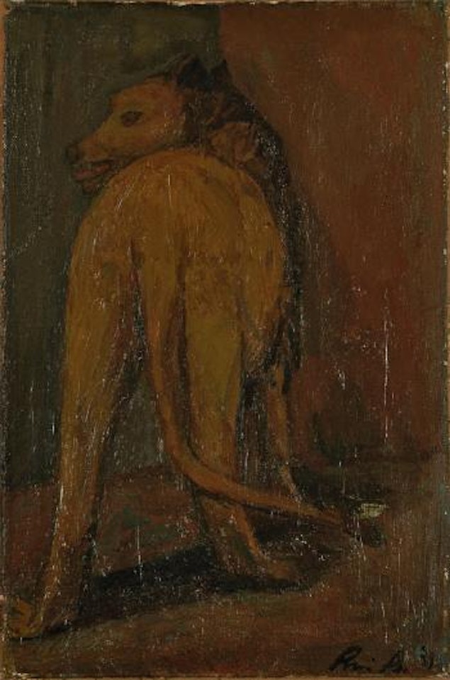 Lion en cage by Rene Auberjonois