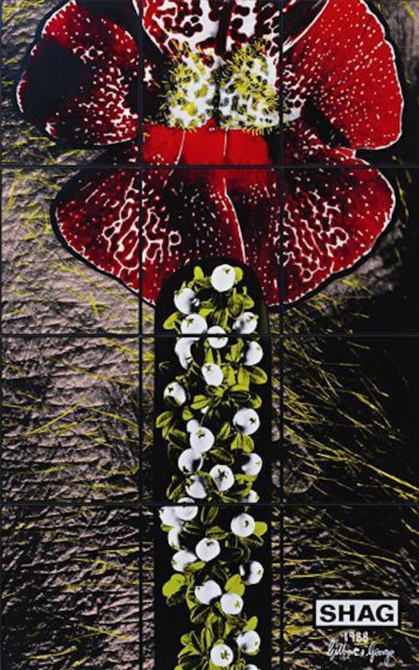 Shag by Gilbert & George