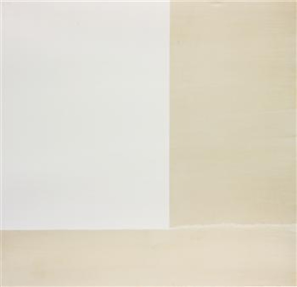 Exposed Painting, Titanium White by Callum Innes