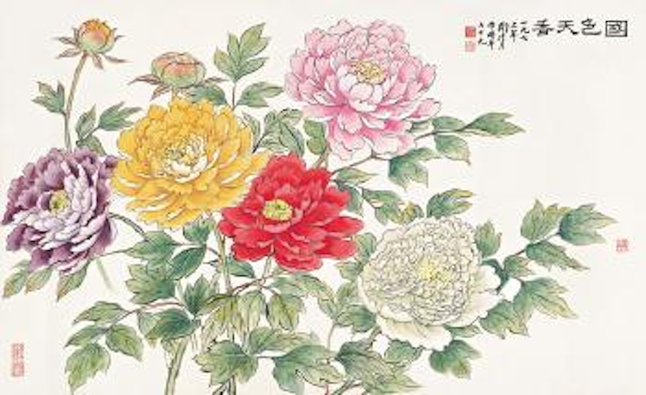 Peony by Lengyue Tao