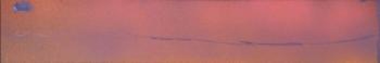 Javan ou Yavan-2 by Jules Olitski