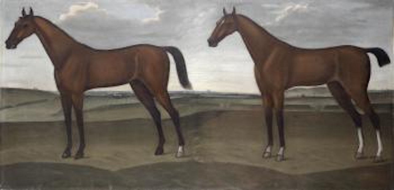 Two Racehorses with an extensive view of Newmarket by English School