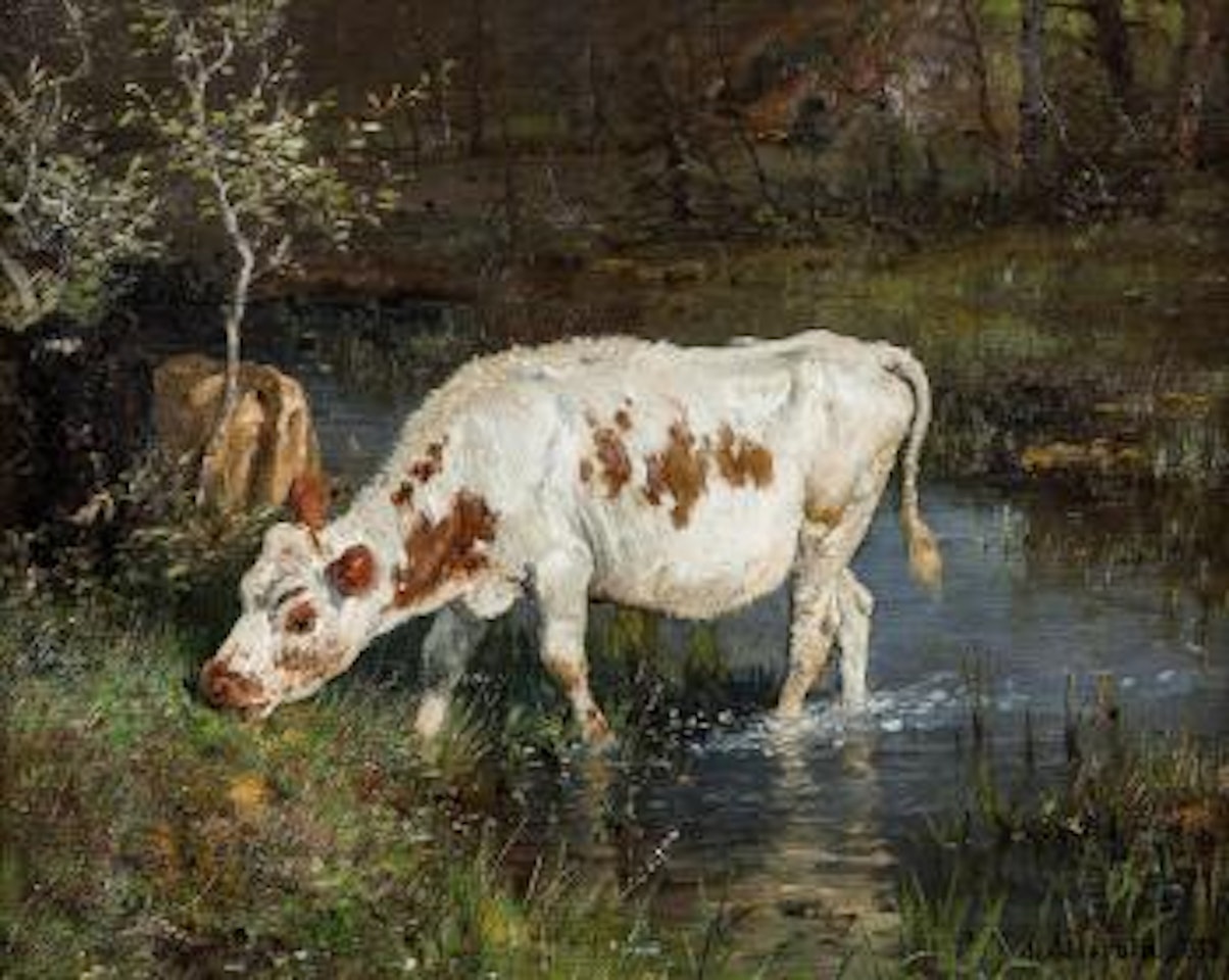 Gressende ku ved elvebredd by Anders Monsen Askevold