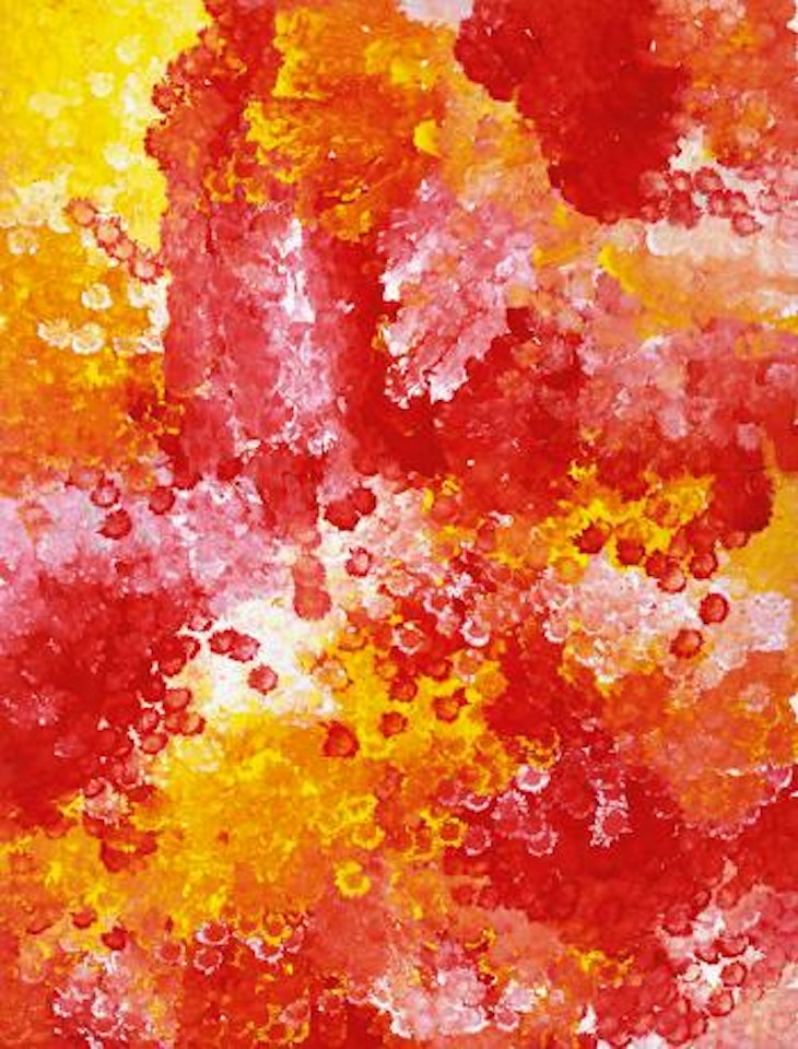 Wild flower dreaming by Emily Kame Kngwarreye