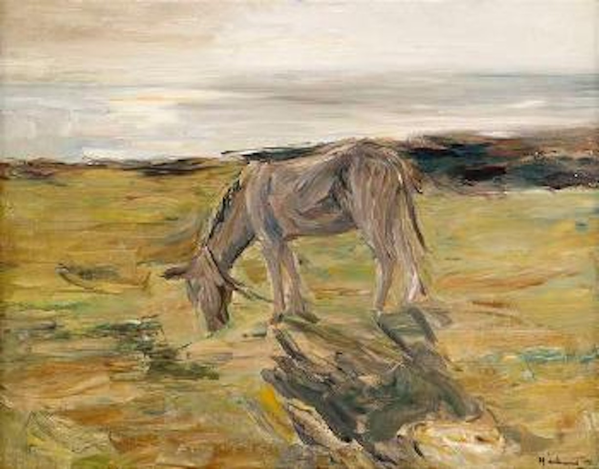 Esel in den Dünen by Max Liebermann