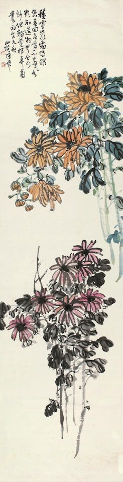 Chrysanthemum by Chen Banding