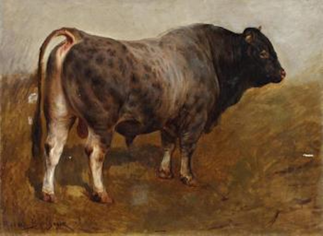 Le taureau by Rosa Bonheur