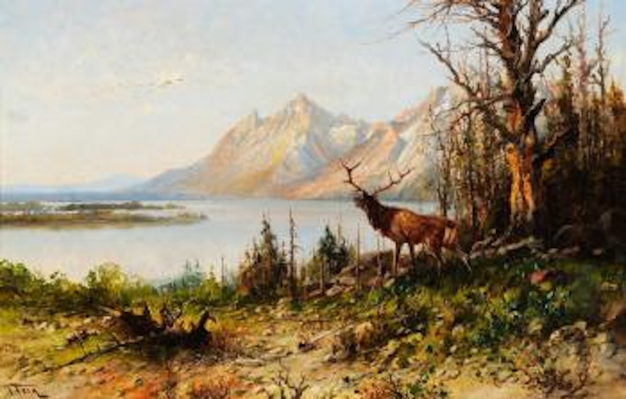 Elk at Jackson Lake, Wyoming by John Fery