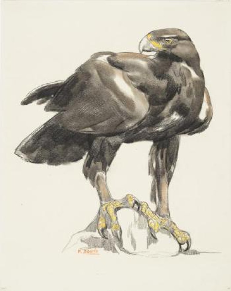 Aigle sur un rocher by Paul Jouve