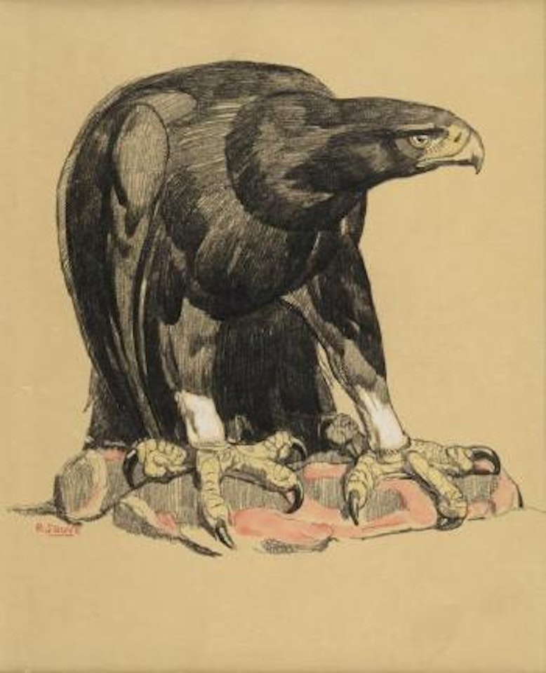 L'aigle sur sa proie by Paul Jouve