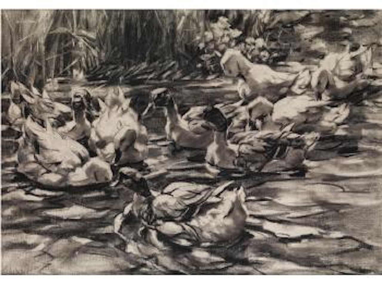 Entenschar im Wasser am Schilfufer by Alexander Koester