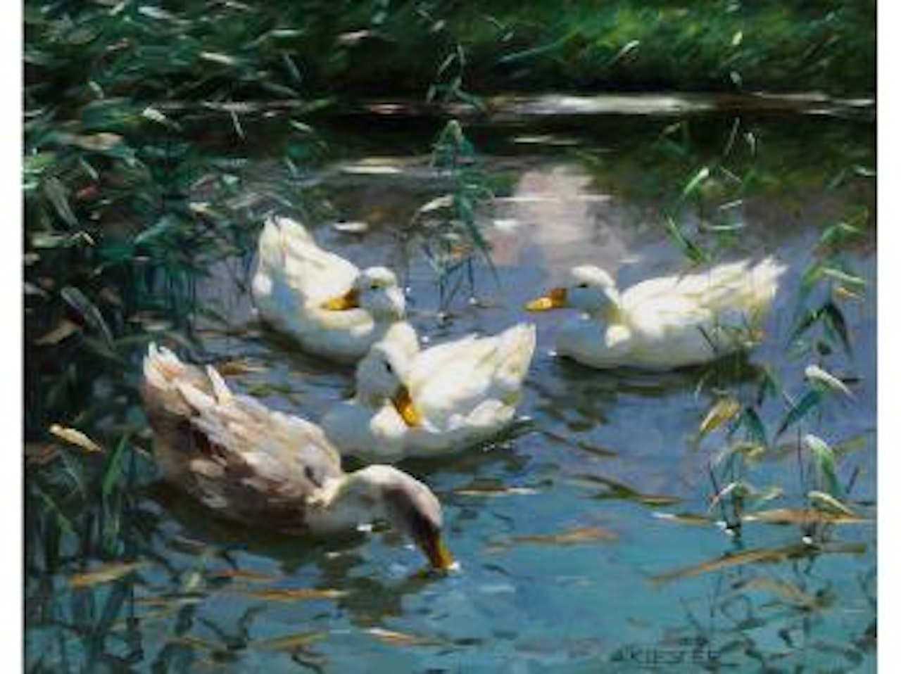 Vier Enten im Teich by Alexander Koester