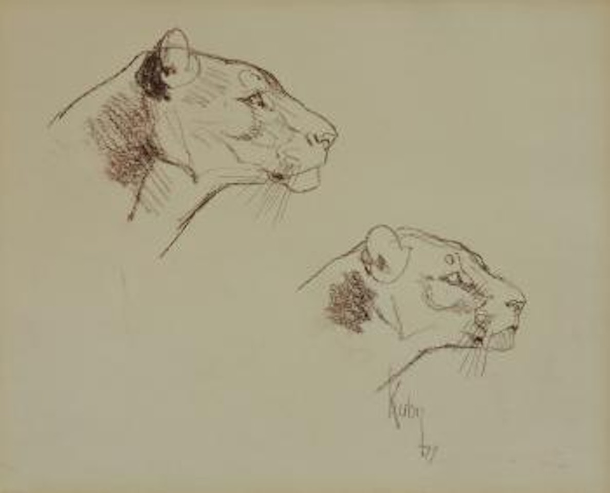 Lionesses by Bob Kuhn
