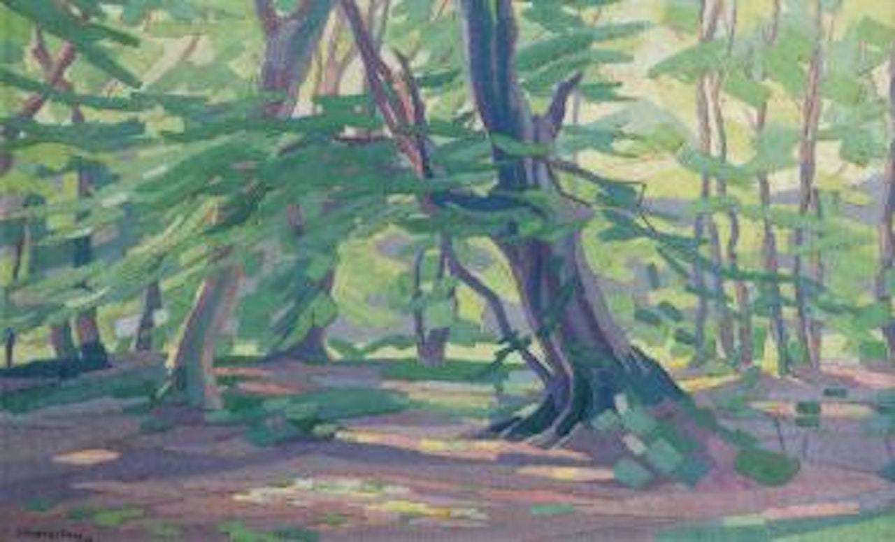 A forest in spring by Dirk Smoorenberg