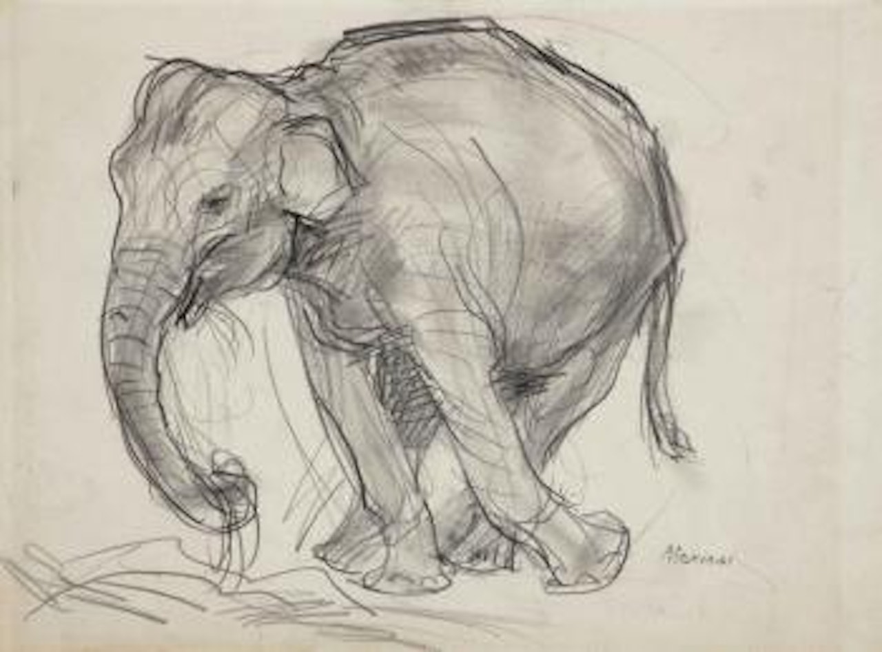 Elephant by John Marin