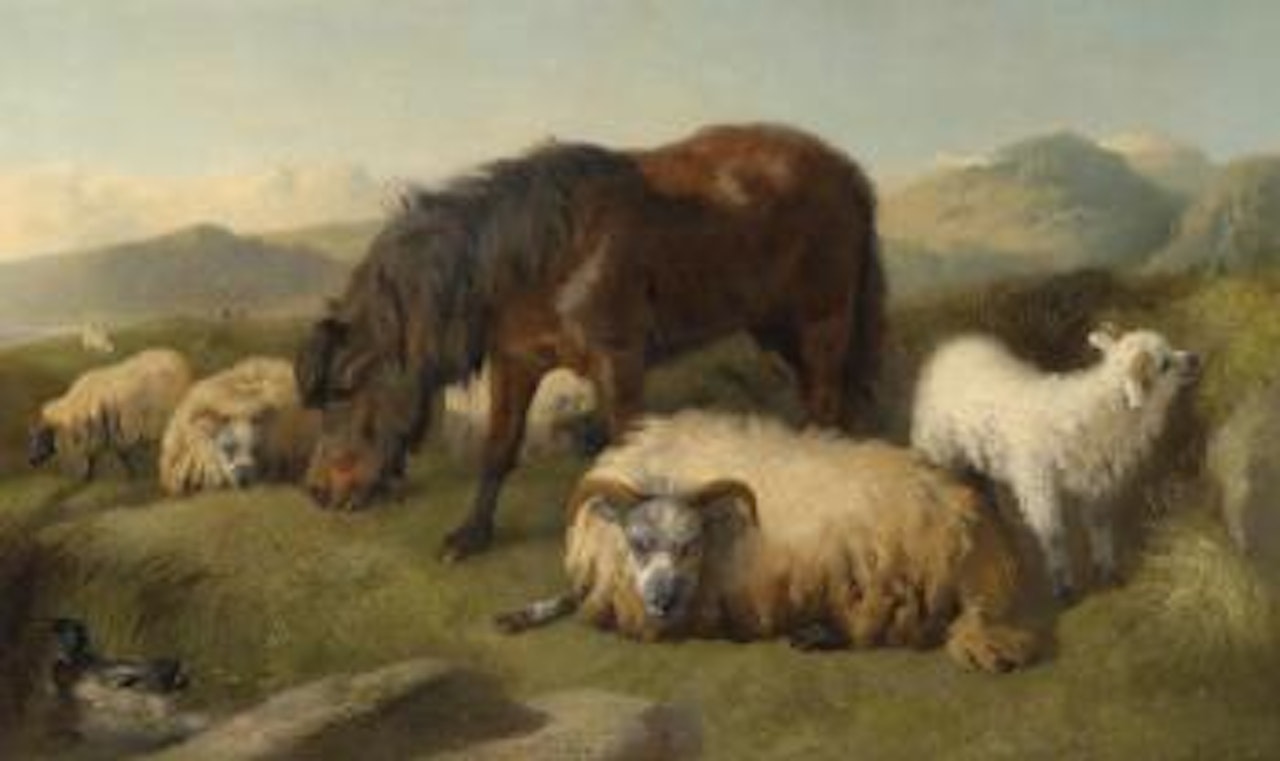 Ziegen, Schafe und ein Pony by Richard Ansdell