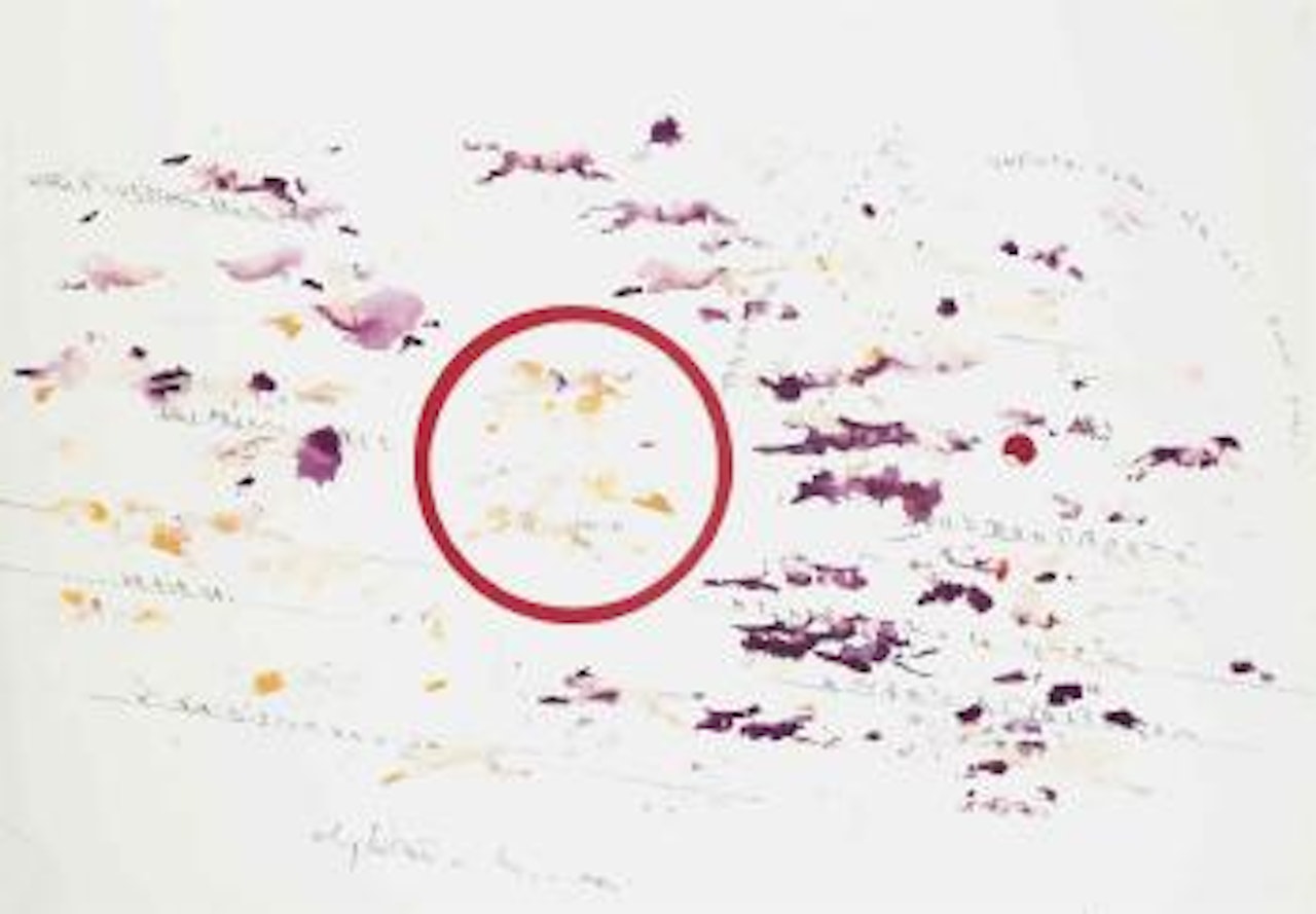 Untitled (Panthers) by Alighiero Boetti