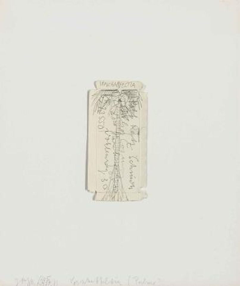 Verschaffeltia (Palme) by Joseph Beuys