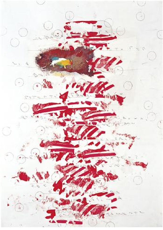 Rinoceronti by Alighiero Boetti