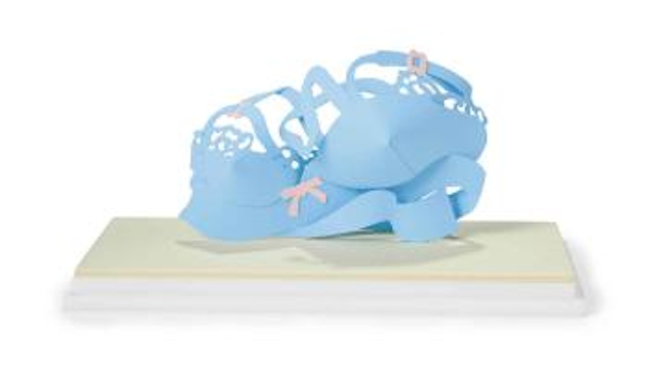 Tiny Dropped Bra #24 by Tom Wesselmann