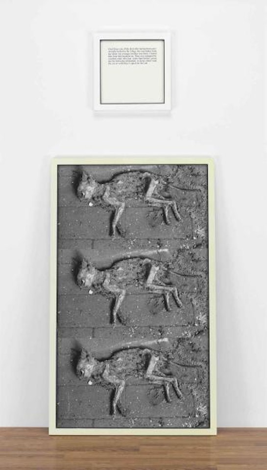Autobiographical Stories (The Cats) by Sophie Calle