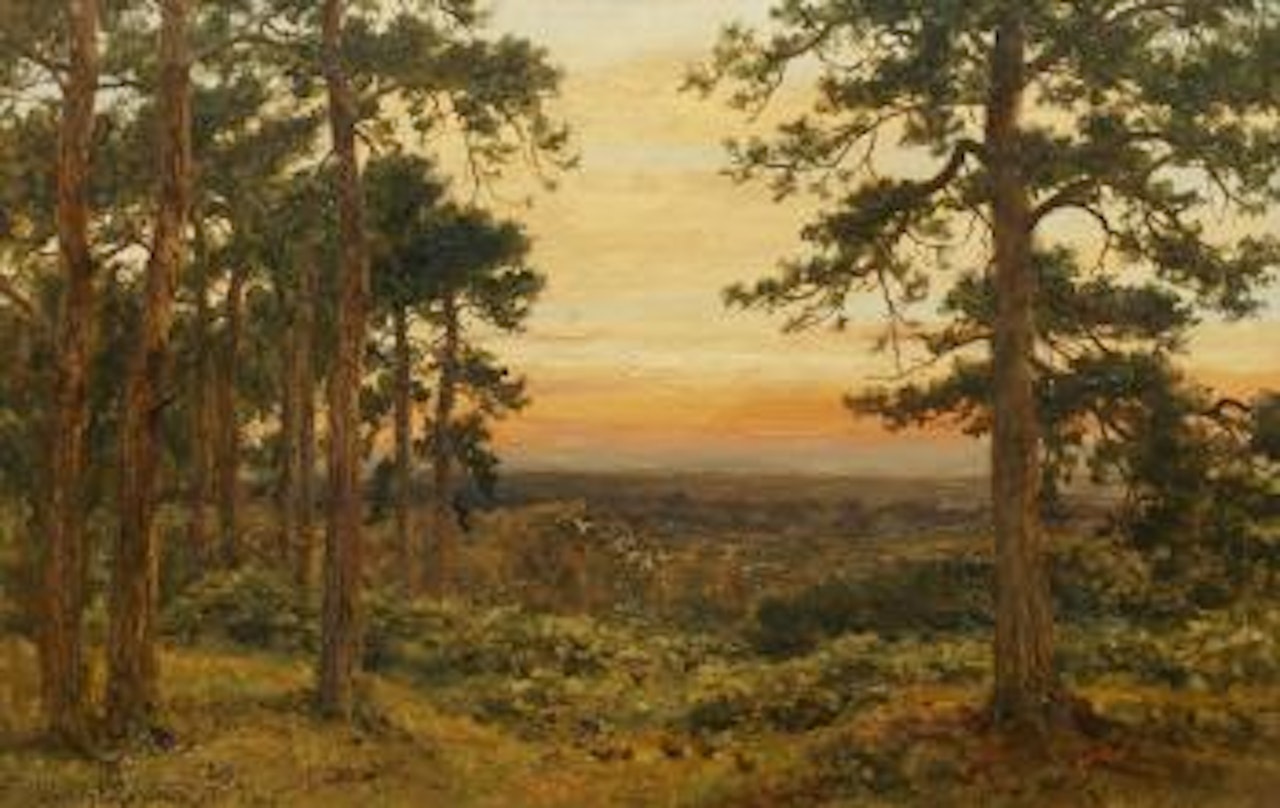Extensive woodland landscape by Benjamin Williams Leader