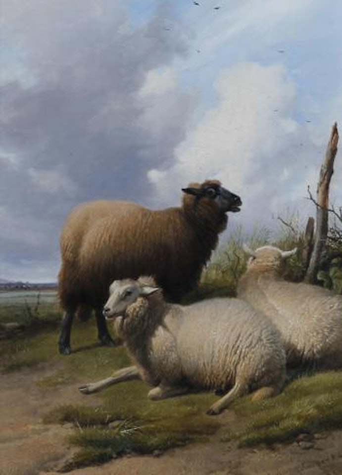 Three ewes seated on a grassy bank by Thomas Sidney Cooper