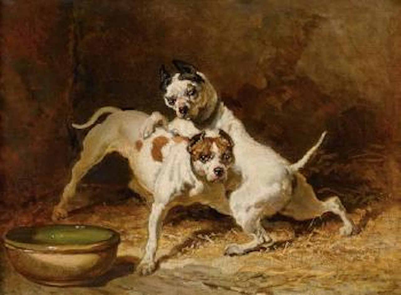 Zwei spielende Hunde by Alfred de Dreux