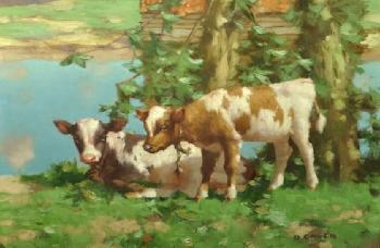Two calves by the water's edge by David Gauld