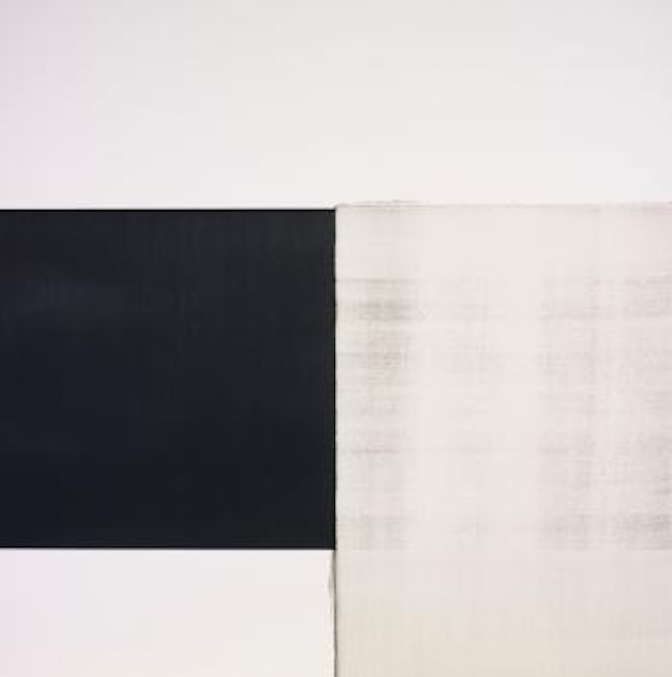 Exposed Painting, Vine Black by Callum Innes