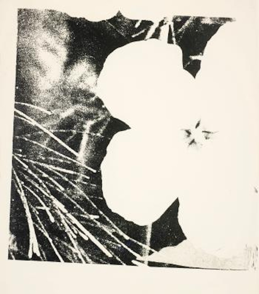 Flowers by Andy Warhol