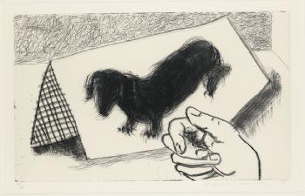 Dog Wall: Dog Etching No. 9 by David Hockney