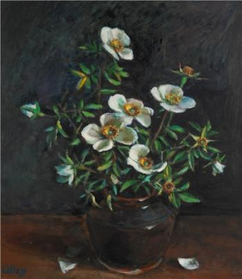 Rose by Margaret Hannah Olley