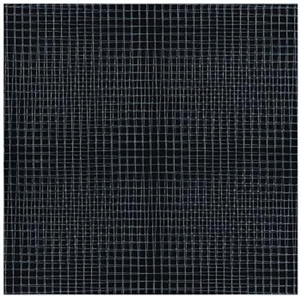 2 Trames De Grillage - 2º + 2º ( # 10 MM) by Francois Morellet