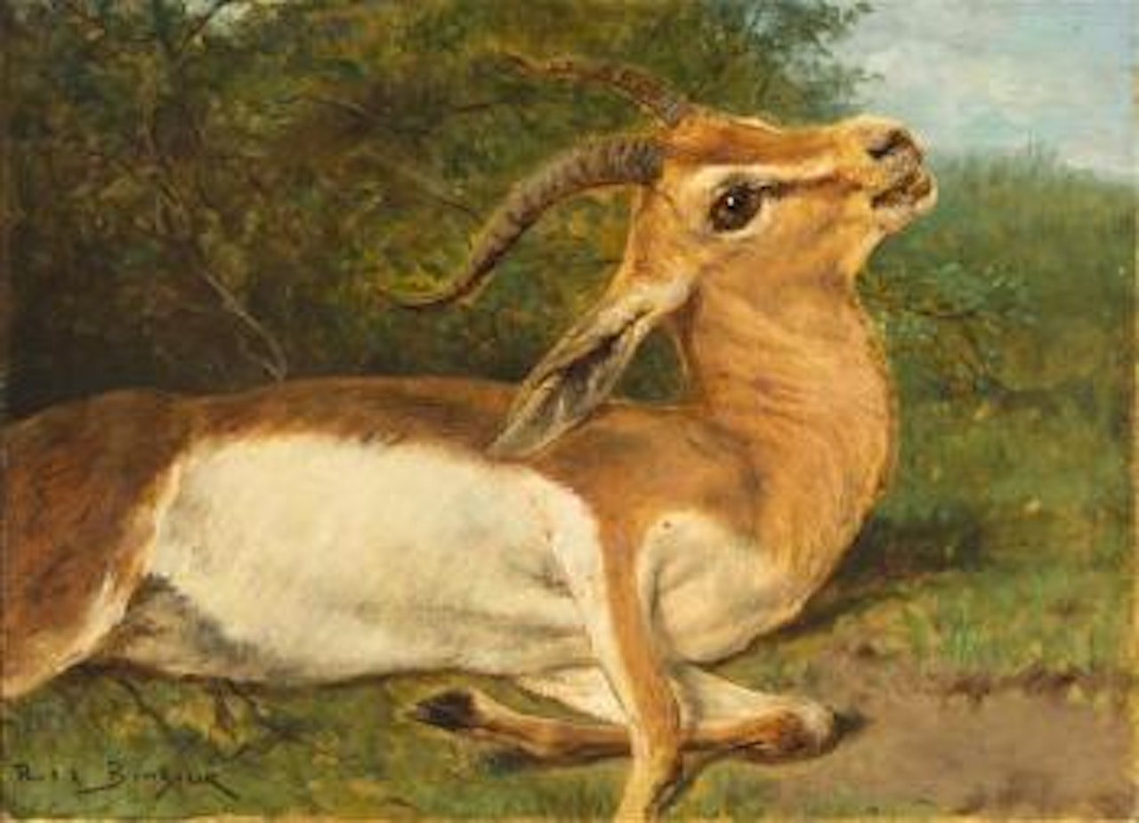 Antelope by Rosa Bonheur