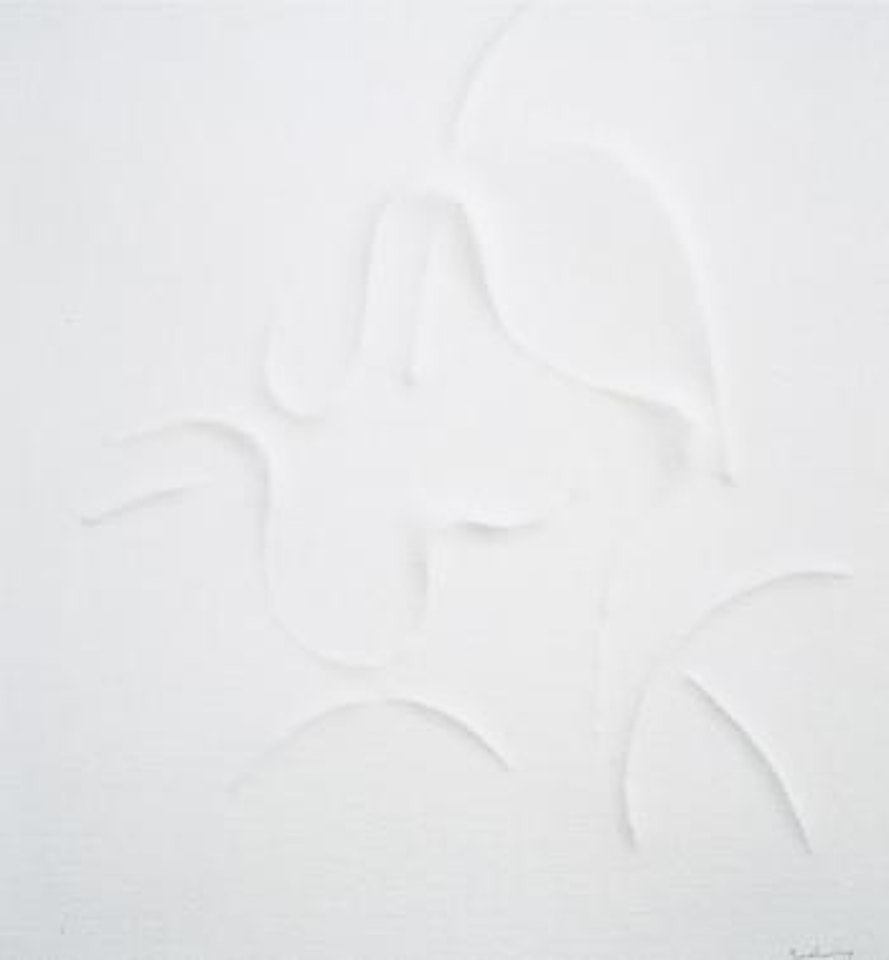 Bianco by Agostino Bonalumi