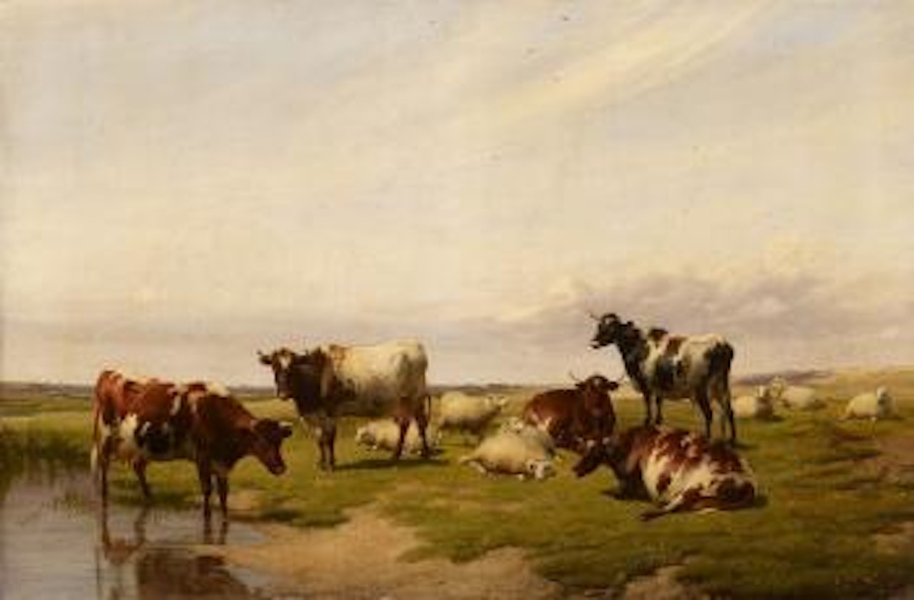 Weite Landschaft Mit Kühen Und Schafen An Einem Bach by Thomas Sidney Cooper