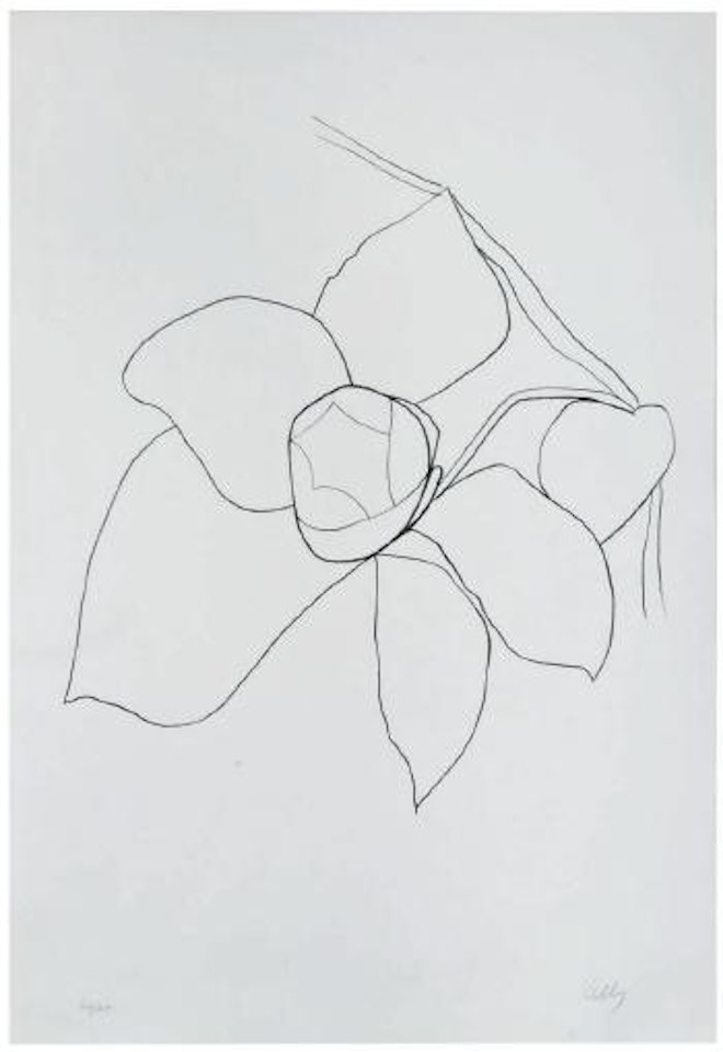 Camellia II (from Suite of Plant Lithographs) by Ellsworth Kelly