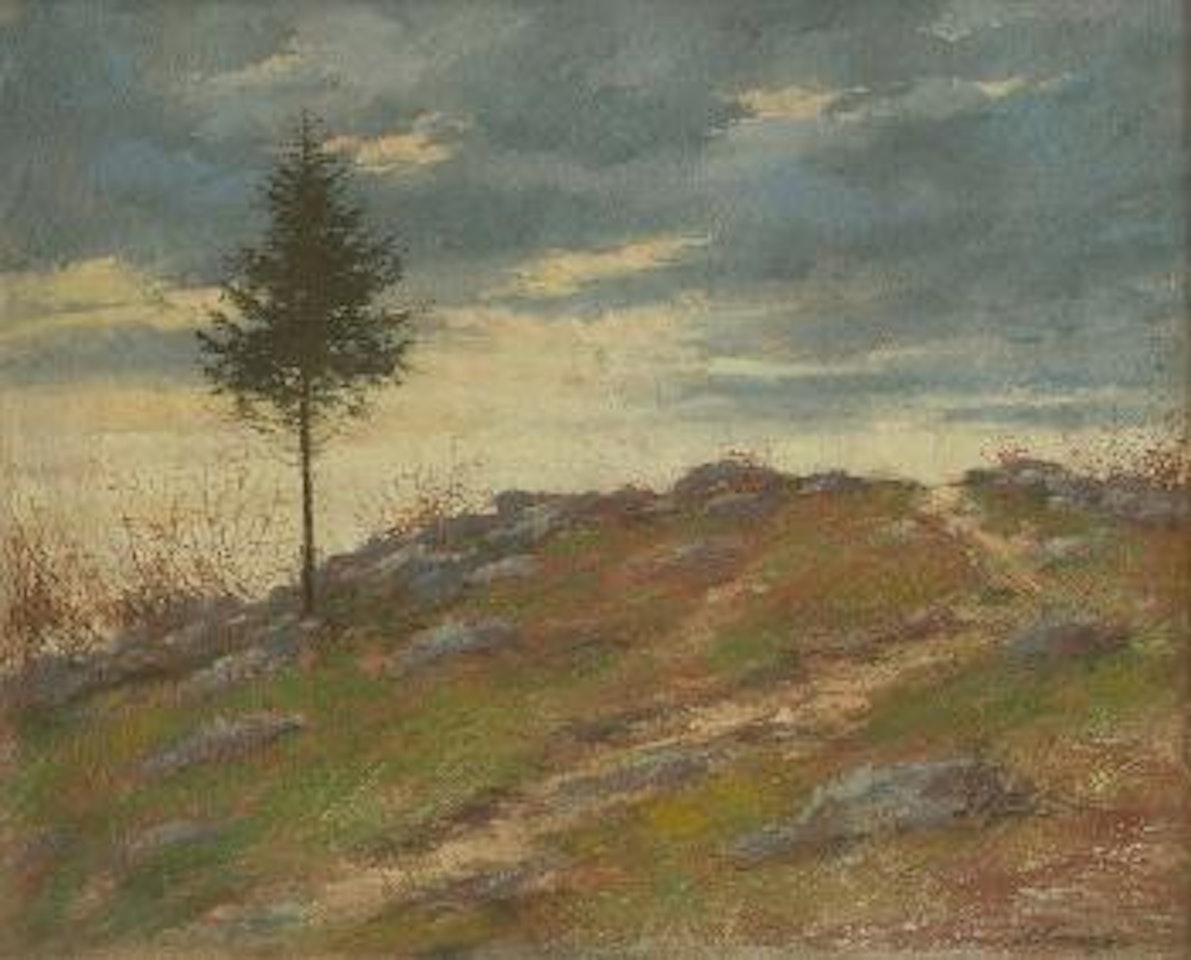 The hillside by Karel Langer