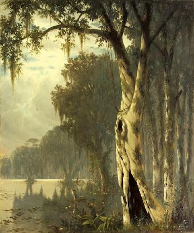 Near Bayou Plaquemine (Louisiana) by Joseph R. Meeker