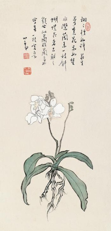 Dendrobium by Pu Ru