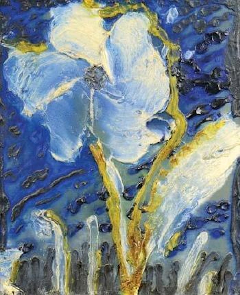 Fleur blanche sur fond bleu by Thanos Tsingos