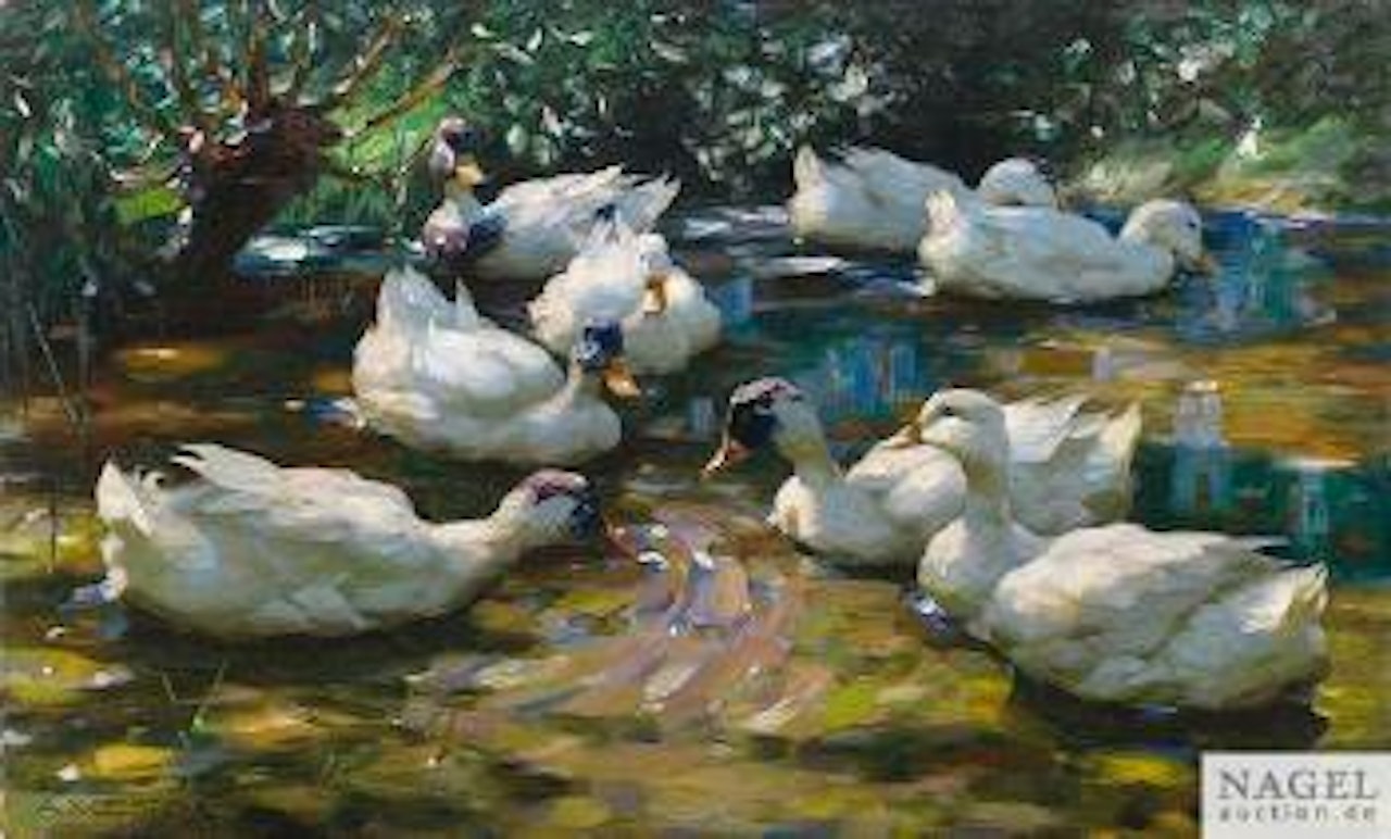 Weiße Enten im Sommerteich by Alexander Koester