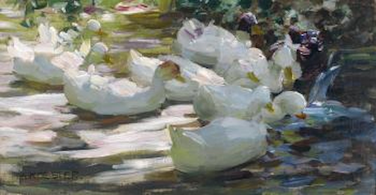 Ducks by Alexander Koester