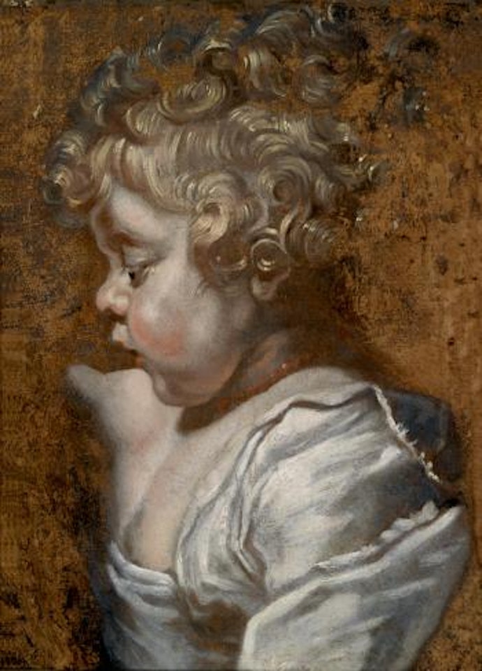 Portrait study of Albert Rubens as a boy (1614–1657) by Peter Paul Rubens