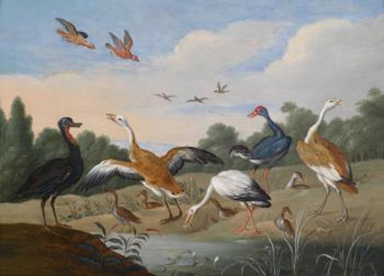 Herons and ducks by a streamlet by Jan Van Kessel The Elder