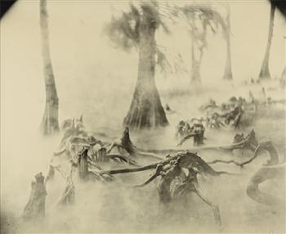 Untitled from Deep South by Sally Mann