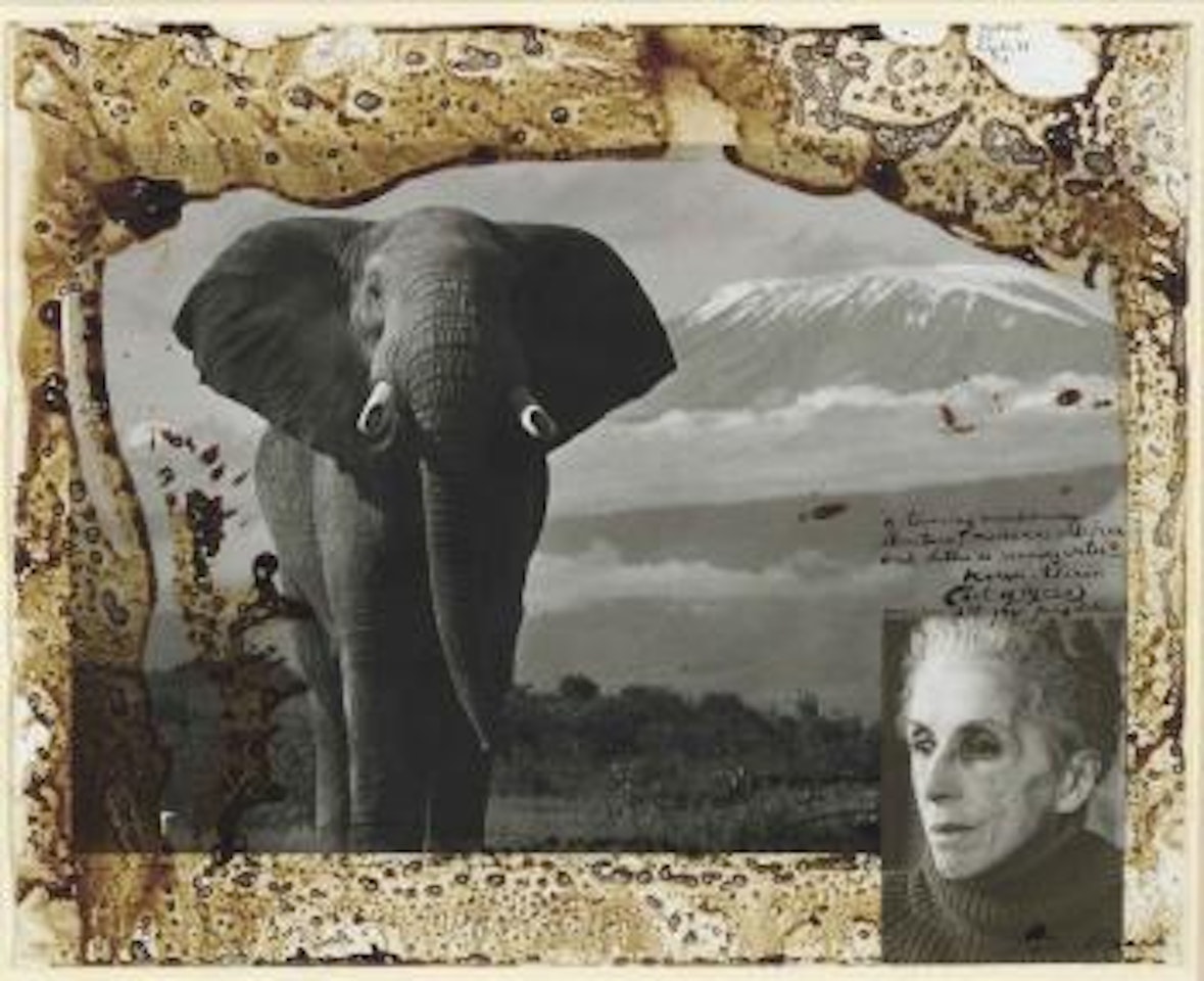 Elephant (Karen Blixen) by Peter Beard
