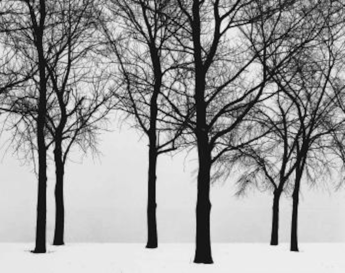 Chicago by Harry Callahan