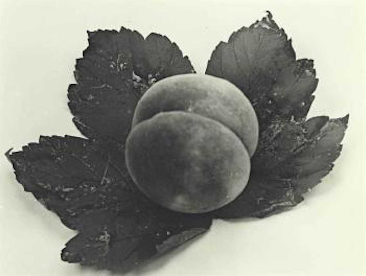 Untitled by Man Ray